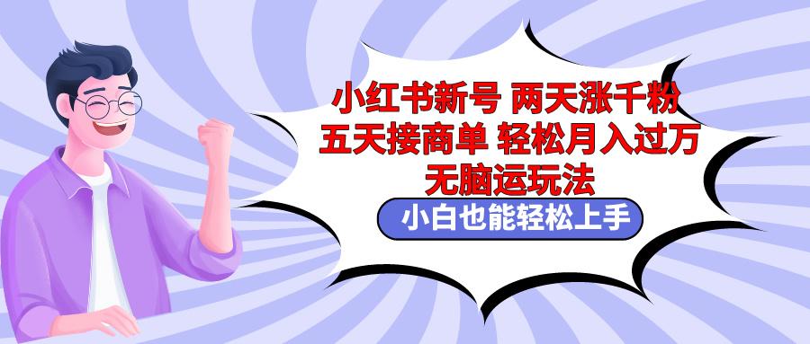 小红书新号两天涨千粉五天接商单轻松月入过万 无脑搬运玩法 小白也能轻…-知库