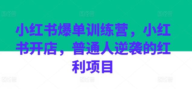 小红书爆单训练营，小红书开店，普通人逆袭的红利项目-知库