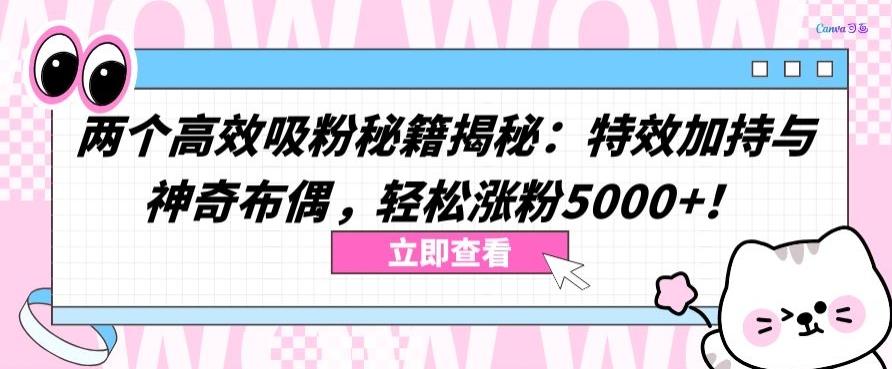 两个高效吸粉秘籍揭秘：特效加持与神奇布偶，轻松涨粉5000+【揭秘】-知库