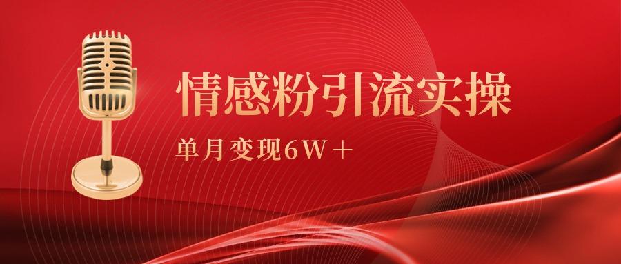 (9473期)单月变现6w+，情感粉引流变现实操课-知库