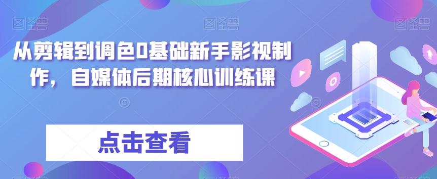 从剪辑到调色0基础新手影视制作，自媒体后期核心训练课-知库