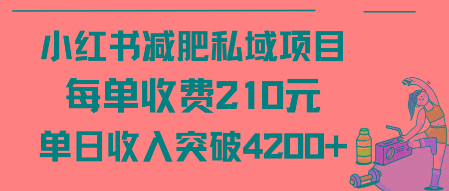 (9466期)小红书减肥私域项目每单收费210元单日成交20单，最高日入4200+-知库