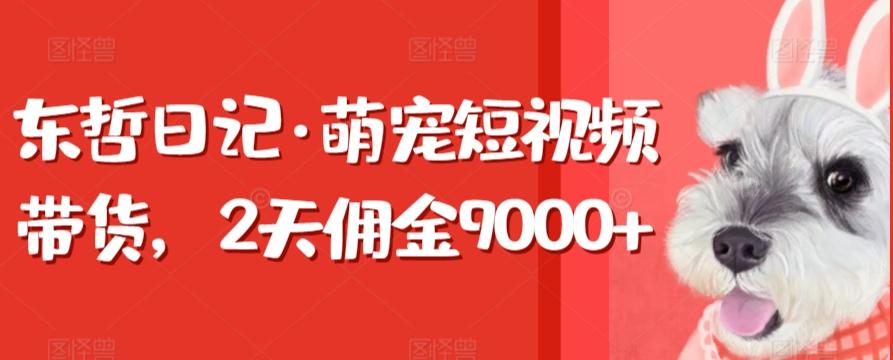 东哲日记·萌宠短视频带货，2天佣金9000+-知库