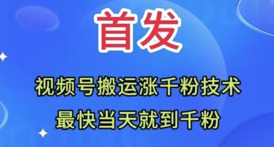 全网首发：视频号无脑搬运涨千粉技术，最快当天到千粉【揭秘】-知库