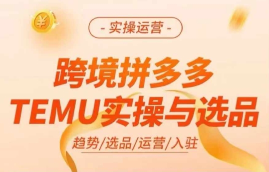 跨境拼多多TEMU实操与选品，多多temu跨境选品运营实操-知库