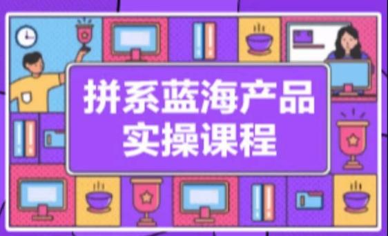 拼系冷门蓝海产品实操课程，从注册店铺到选品上架到流量维护环环相扣-知库