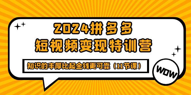 (9817期)2024拼多多短视频变现特训营，知识的丰厚比起金钱更可靠(11节课)-知库