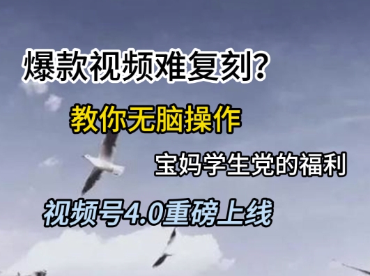 视频号4.0重磅上线，爆款视频难复刻？教你无脑操作宝妈学生党的福利【揭秘】-知库