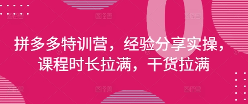 拼多多特训营，经验分享实操，课程时长拉满，干货拉满(更新25年4月)-知库
