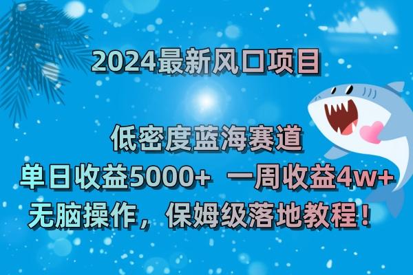 (8545期)2024最新风口项目 低密度蓝海赛道，日收益5000+周收益4w+ 无脑操作，保…-知库