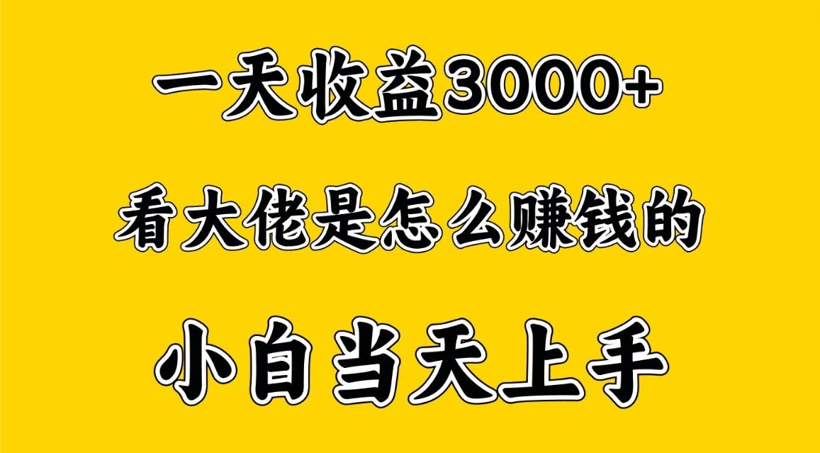 一天赚3000多，大佬是这样赚到钱的，小白当天上手，穷人翻身项目-知库