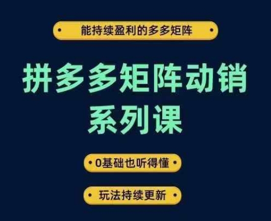 拼多多矩阵动销系列课，能持续盈利的多多矩阵，0基础也听得懂，玩法持续更新-知库