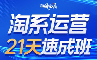 白凤电商·淘系运营21天速成班(更新5月)-知库
