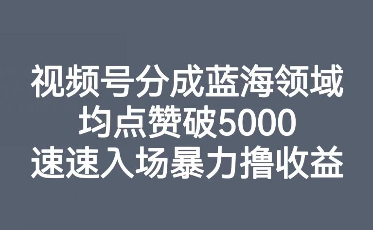 视频号分成蓝海领域，均点赞破5000，速速入场暴力撸收益-知库