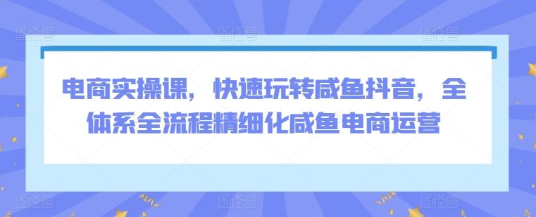 电商实操课，快速玩转咸鱼抖音，全体系全流程精细化咸鱼电商运营-知库