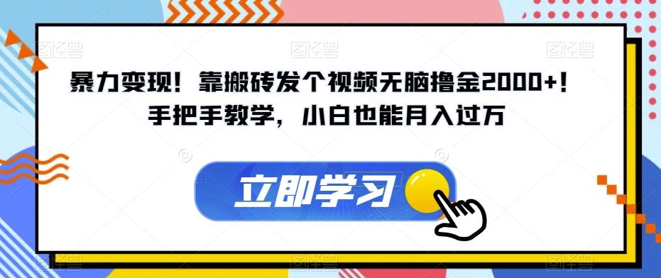 暴力变现！靠搬砖发个视频无脑撸金2000+！手把手教学，小白也能月入过万【揭秘】-知库