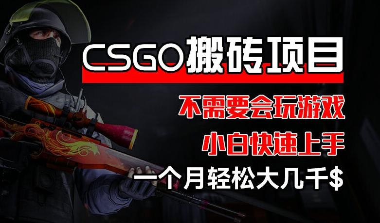 CSGO 装备搬砖项目，操作简单，不需要会玩游戏，小白也能快速上手，一个月轻松大几千【揭秘】-知库