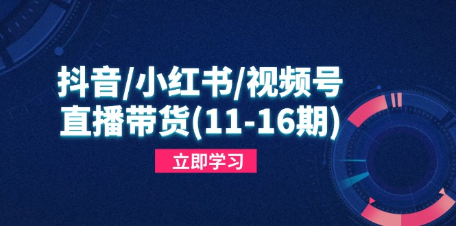抖音/小红书/视频号/直播带货(11-16期-知库
