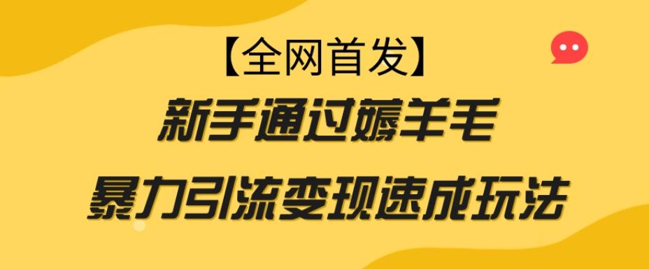 【全网首发】新手通过薅羊毛暴力引流变现速成玩法-知库