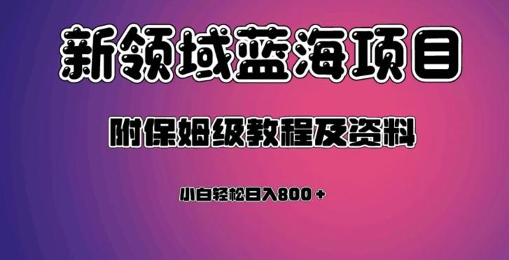 虚拟资源蓝海领域新项目，轻松日入800＋，附保姆级教程及资料-知库