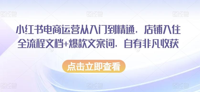 小红书电商运营从入门到精通，店铺入住全流程文档+爆款文案词，自有非凡收获-知库