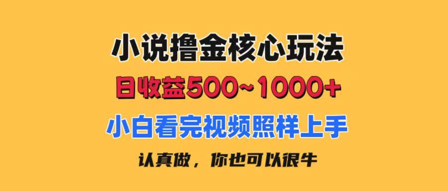 小说撸金核心玩法，日收益500-1000+，小白看完照样上手，0成本有手就行-知库