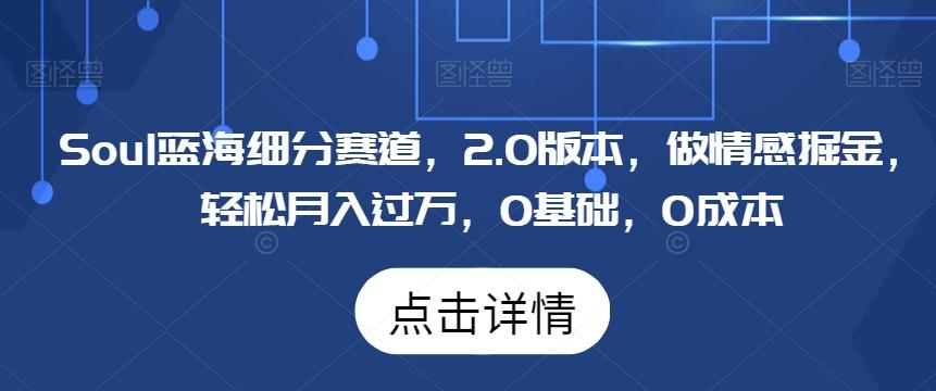 Soul蓝海细分赛道，2.0版本，做情感掘金，轻松月入过万，0基础，0成本-知库