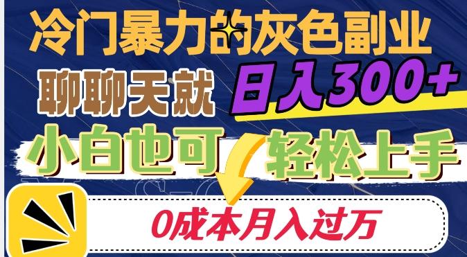 冷门暴利的副业项目，聊聊天就能日入300+，0成本月入过万【揭秘】-知库