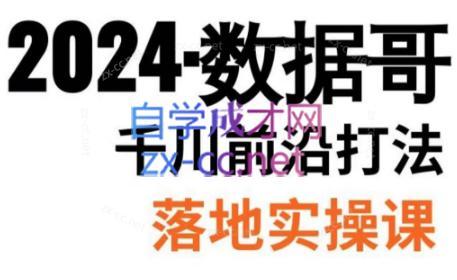 数据哥·2024年千川前沿打法落地实操课-知库