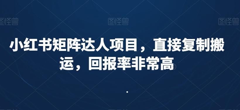 小红书矩阵达人项目，直接复制搬运，回报率非常高-知库