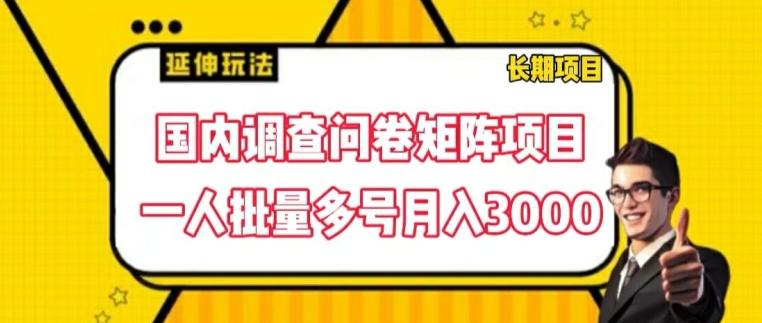 国内调查问卷矩阵项目，一人批量多号月入3000【揭秘】-知库