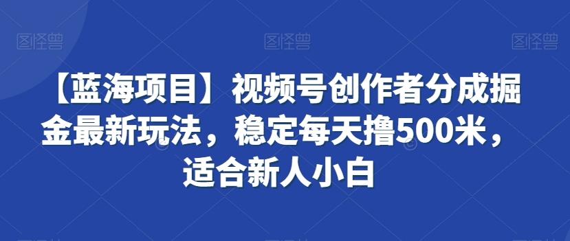 【蓝海项目】视频号创作者分成掘金最新玩法，稳定每天撸500米，适合新人小白【揭秘】-知库