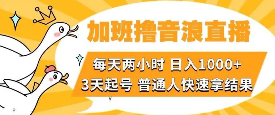 加班撸音浪直播，每天两小时，日入1000+，直播话术才3句，3天起号，普通人快速拿结果【揭秘】-知库