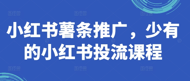 小红书薯条推广，少有的小红书投流课程-知库