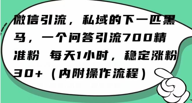 怎么搞精准创业粉？微信新赛道，每天一小时，利用Ai一个问答日引100精准粉-知库