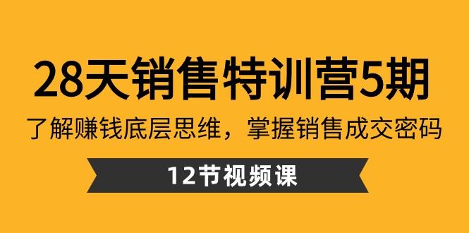 28天销售特训营5期：了解赚钱底层思维，掌握销售成交密码（12节课）-知库