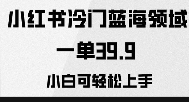 小红书冷门蓝海领域，一单39.9，小白可轻松上手-知库