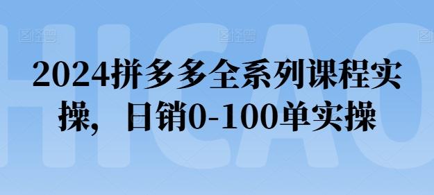 2024拼多多全系列课程实操，日销0-100单实操【必看】-知库