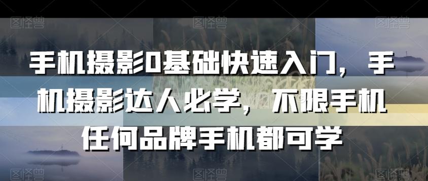 手机摄影0基础快速入门，手机摄影达人必学，不限手机任何品牌手机都可学-知库