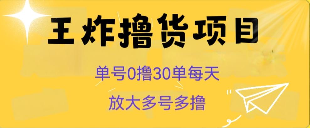 王炸撸货项目，单号0撸30单每天，多号多撸【揭秘】-知库