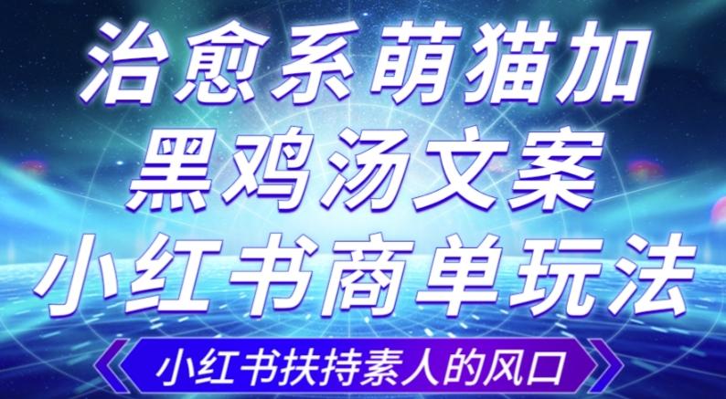 治愈系萌猫加+黑鸡汤文案，小红书商单玩法，3~10天涨到1000粉，一单200左右-知库