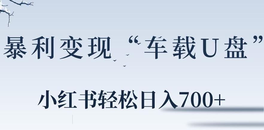 小红书“车载U盘”暴利引流，日入700+-知库