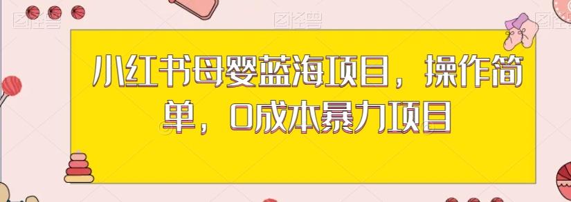 小红书母婴蓝海项目，操作简单，0成本暴力项目-知库