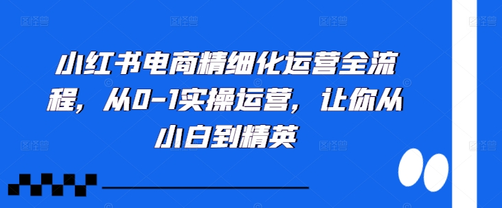 小红书电商精细化运营全流程，从0-1实操运营，让你从小白到精英-知库