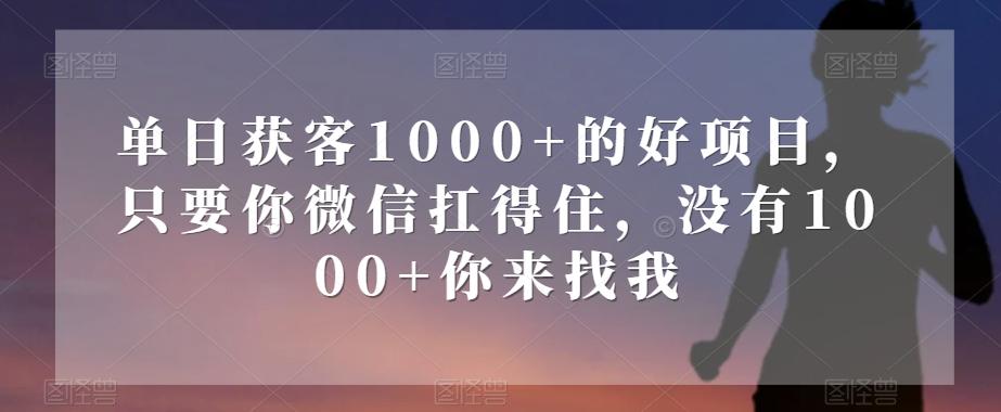 单日获客1000+的好项目，只要你微信扛得住，没有1000+你来找我【揭秘】-知库