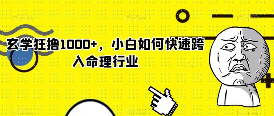 玄学狂撸1000+，小白如何快速跨入命理行业-知库