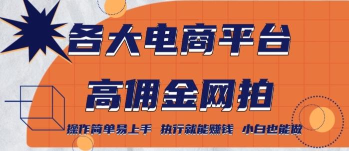 各大电商平台高佣金网拍，操作简单易上手，执行就能赚钱，小白也能做-知库