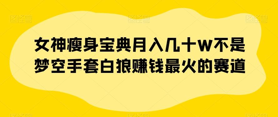 女神瘦身宝典月入几十W不是梦空手套白狼赚钱最火的赛道【揭秘】-知库