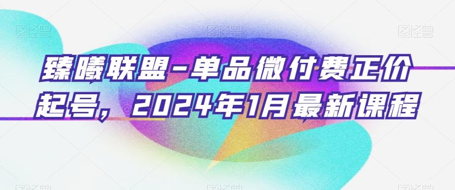 臻曦联盟-单品微付费正价起号，2024年1月最新课程-知库