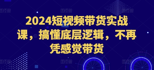 2024短视频带货实战课，搞懂底层逻辑，不再凭感觉带货-知库